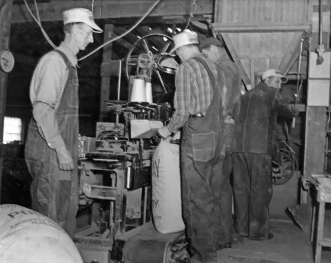 Filling feedsack 1943